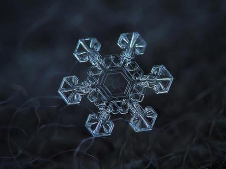 Macro-Snowflake-9