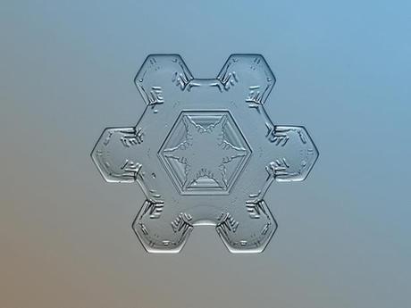 Macro-Snowflake-11