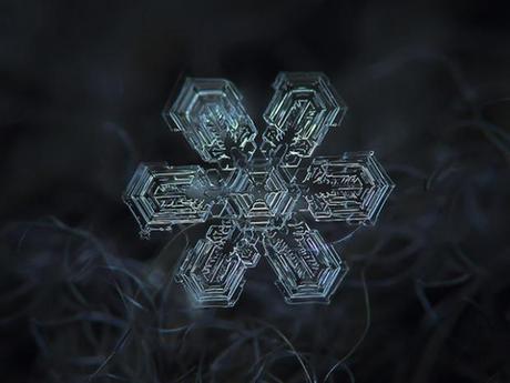 Macro-Snowflake-16