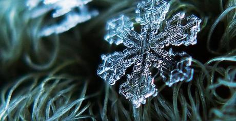 Macro-Snowflake-1