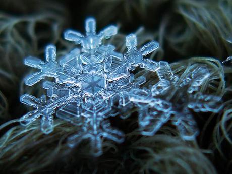 Les plus belles photos de flocons de neige par Alexey Klijatov