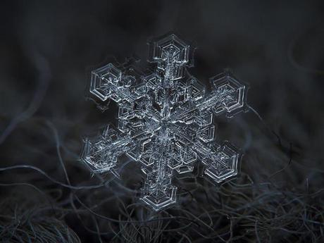 Macro-Snowflake-19