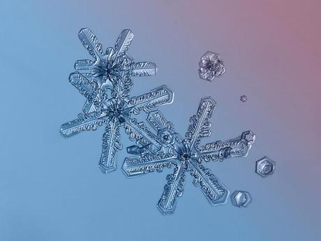 Macro-Snowflake-6