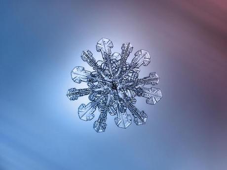 Macro-Snowflake-3