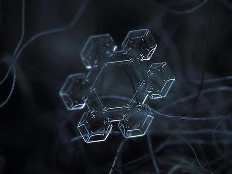 Macro-Snowflake-7