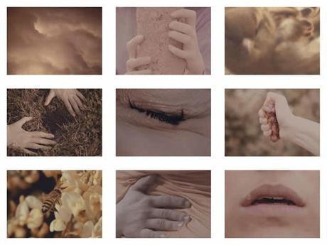 annadiprospero 2 Anna Di Prospero, instinct #1+ #2