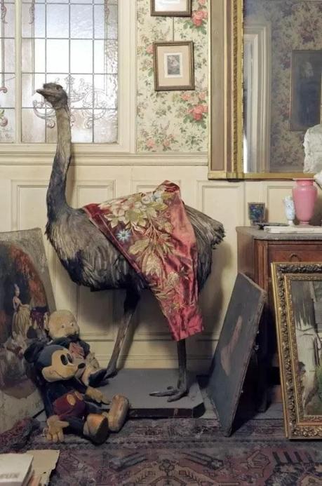 L'incroyable appartement parisien qui n'avait pas était ouvert depuis le début de la seconde guerre mondiale.