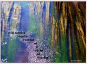 Mystère lumière...