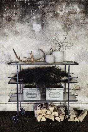 Inspirations du jour