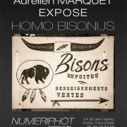 Exposition   »Homo Bisonus » Aurélien Marquet à Numériphot