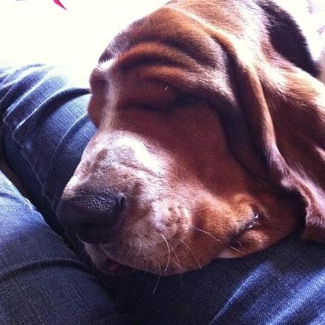 Le Samedi c'est Instagram Party!