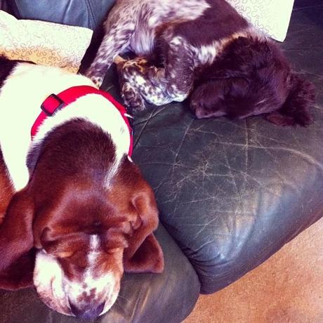 Le Samedi c'est Instagram Party!