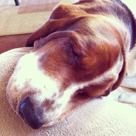 Le Samedi c'est Instagram Party!