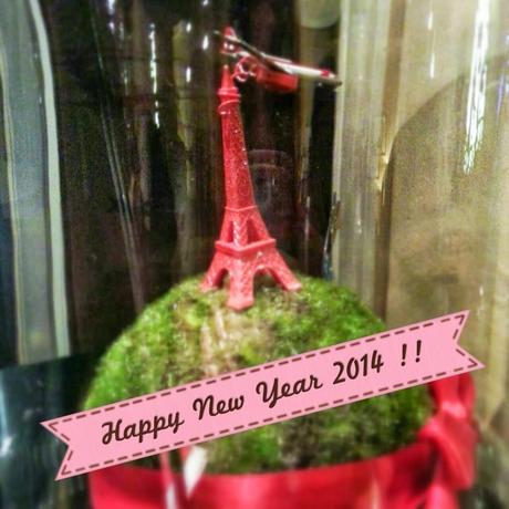 Bonne Année 2014 !