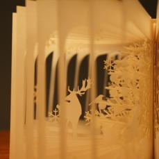 Les histoires à 360° poétiques de Yusuke Oono