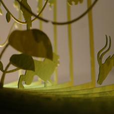 Les histoires à 360° poétiques de Yusuke Oono