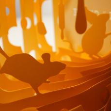 Les histoires à 360° poétiques de Yusuke Oono