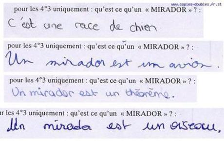Comment les professeurs corrigent les copies des élèves. 20140111-191601.jpg