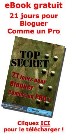 100 trucs et astuces à voler aux Pros du Blogging !