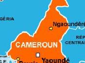 Propriété intellectuelle Cameroun quand l’État fait voleur