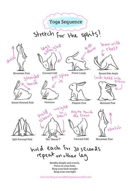 le yoga du lapin