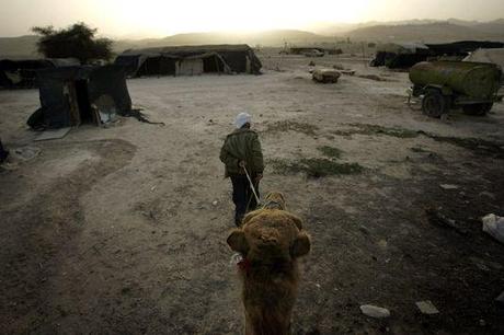 882696_7_3821_un-bedouin-avec-son-chameau-dans-un-camp-pres