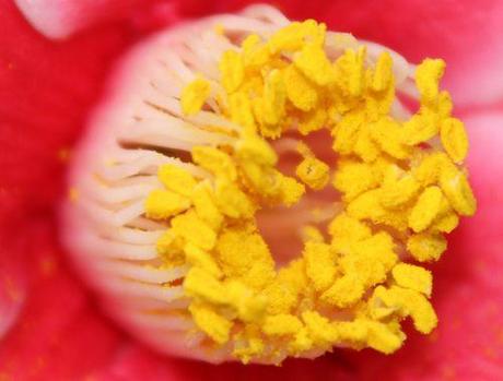 tama no ura étam 11 janv 2014 062 (7).jpg