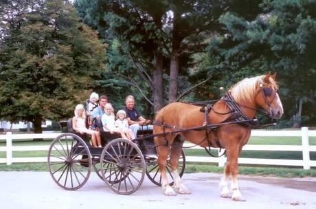 Consommateurs et situations (bien) établies.
