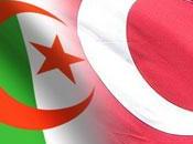 Cosmétiques Turcs s’intéressent marché algérien