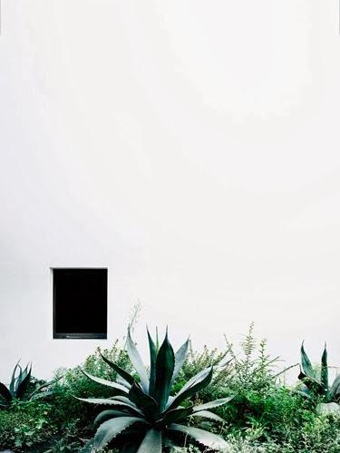 Une maison vue par Tomasso Sartori , photographe