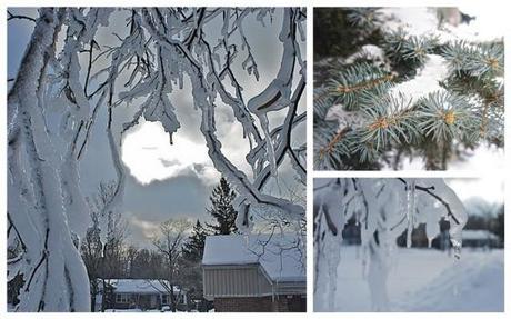 Instant T. #121# INSTANT T 120