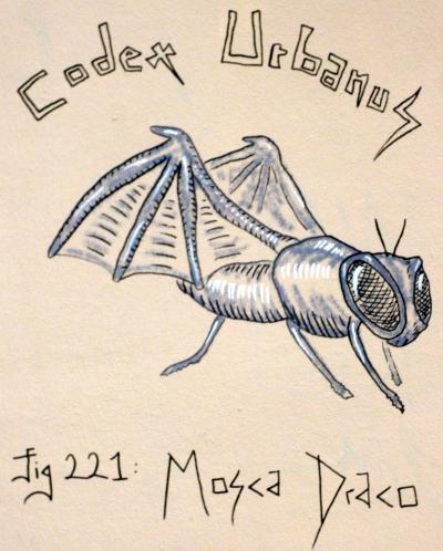 webzine,bd,gratuit,fanzine,zébra,bande-dessinée,street art,codex urbanus,graffiti,paris,rive-droite