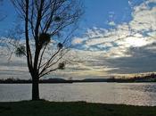 Lorraine, mer, mais Madine