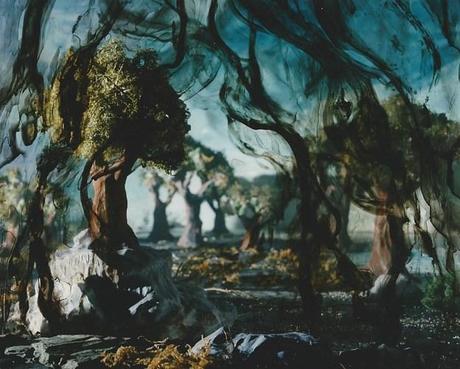 #ArtMTL Expo Montréal Créative 2 par @IciArtv et @MASSIVart à @_ARTVstudio veiled_forest