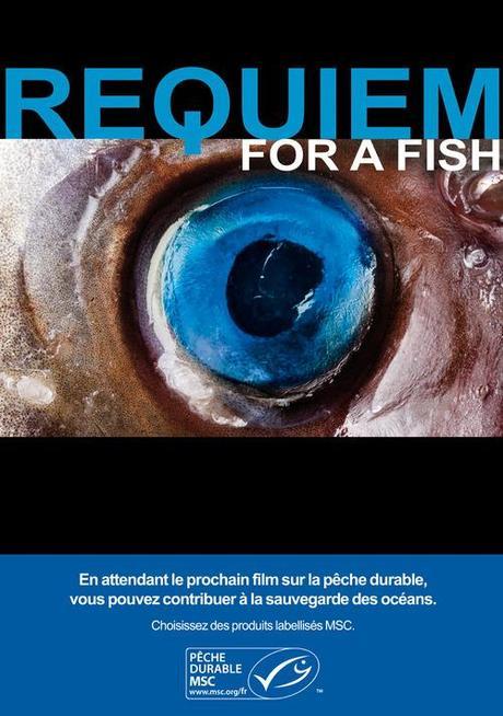 Concours MSC : Des poissons à l’affiche des films pour promouvoir la pêche durable !