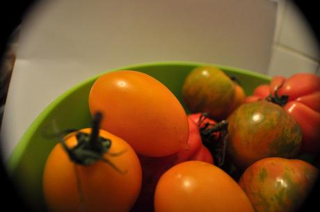 Tomates Multicolores_6