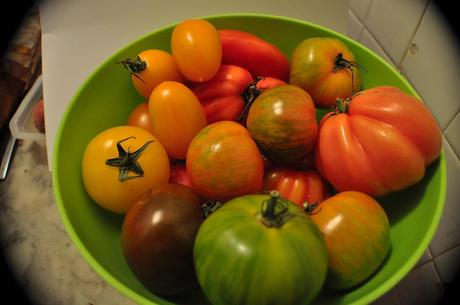 Tomates Multicolores_2