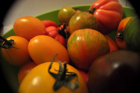 Tomates Multicolores_5
