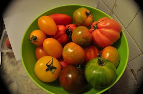 Tomates Multicolores_1