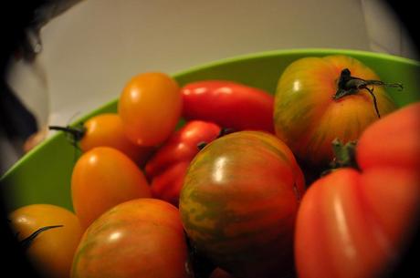 Tomates Multicolores_4
