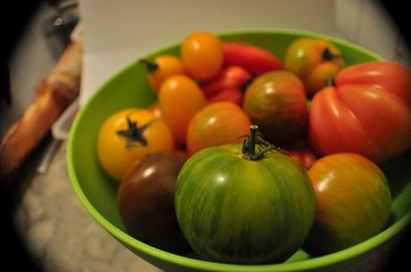 Tomates Multicolores_3