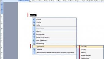 Faire rester plus longtemps les internautes sur son site – Walkcast Le référencement dans Google [77]