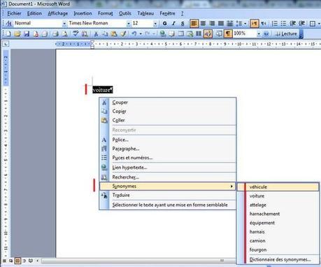 dictionnaire synonyme