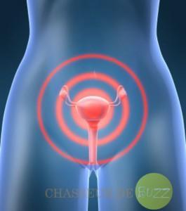 L’égalité des femmes dans le désir d’enfanter greffe utérus