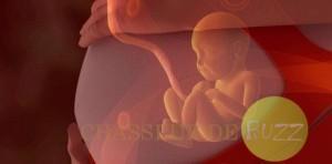 L’égalité des femmes dans le désir d’enfanter greffe utérus2