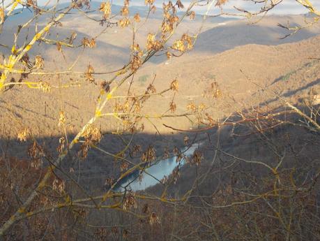 I want to trust in your love