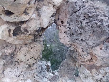 I want to trust in your love