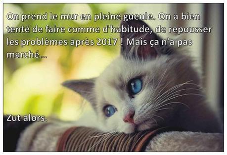armee chat triste