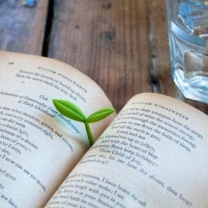 SPROUT-BOOK-MARK-5-465x465