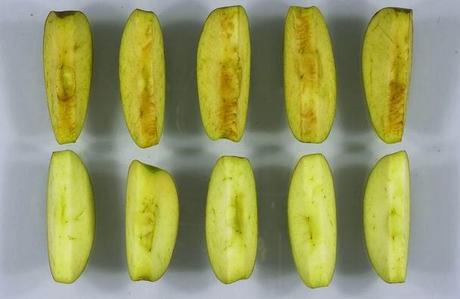 Biotechnologie : Qui veut manger une pomme OGM ?